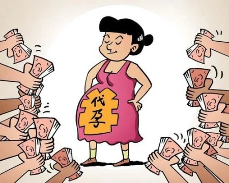 广州供卵包男孩（这都可以？）